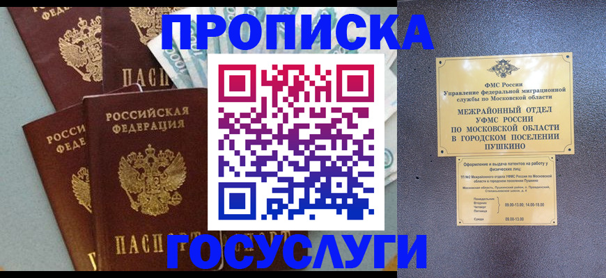 прописка гарантия в Новоузенске